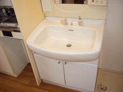 清和マンションの洗面所|シャンプードレッサー