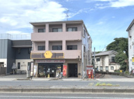 桜の木YOSHINOの画像