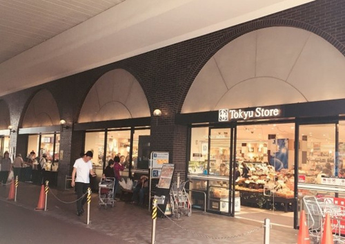 N S Wood蒲田 大田区 蒲田駅 羽田空港 周辺の不動産情報ならニイノリアルタウン情報館