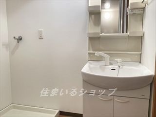 広島市安佐北区深川５丁目の賃貸マンションの洗面所|シャンプードレッサー