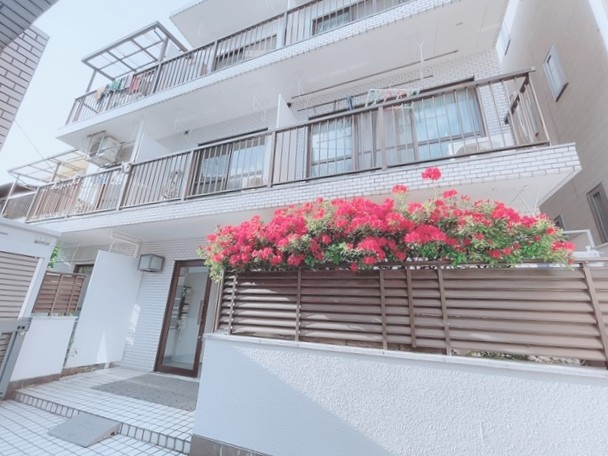 修学院ハイツの外観|外観