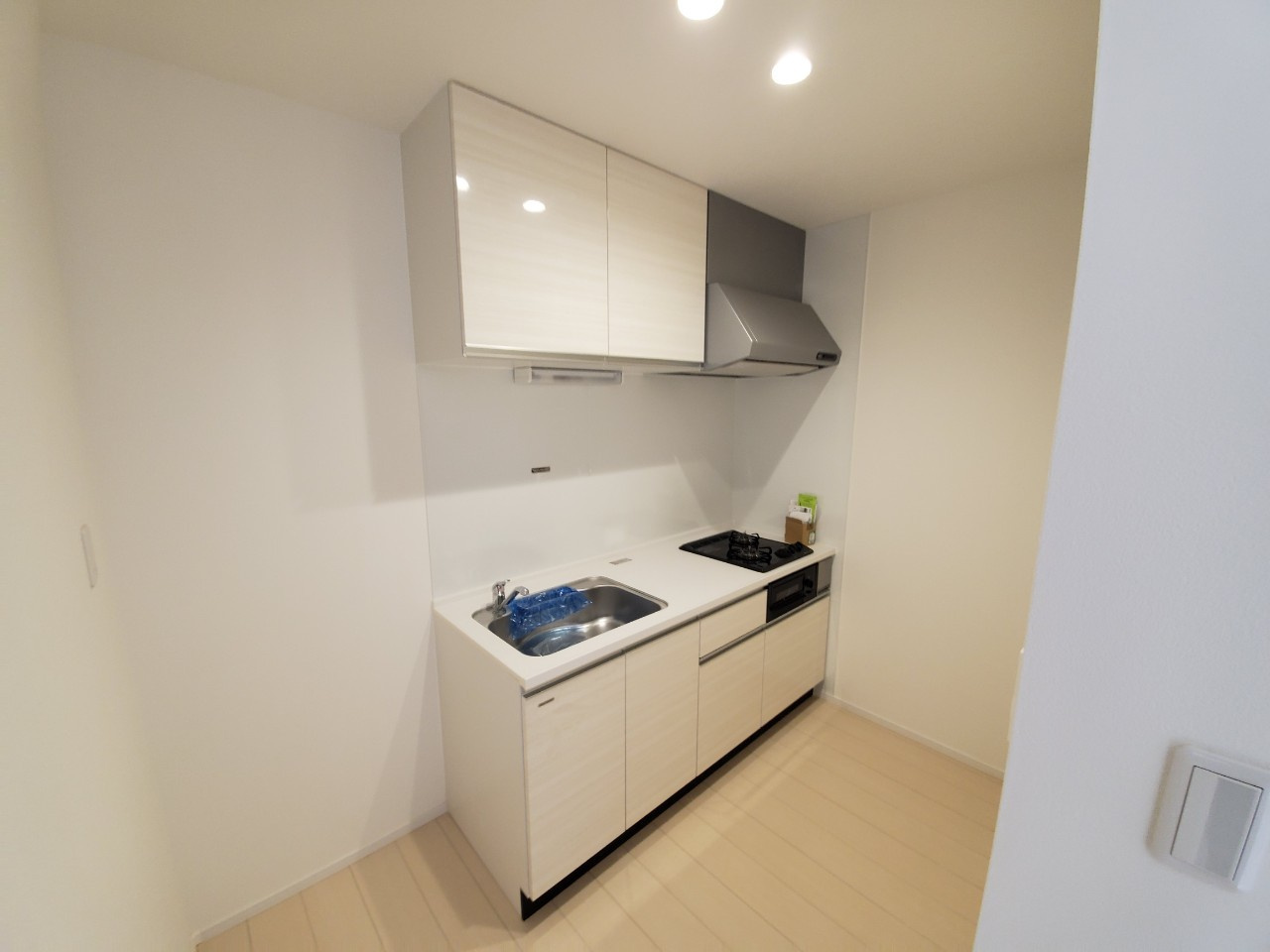 ALLEY Ⅹ(アレイ10）のキッチン|シンクの広いシステムキッチンでお料理がしやすいですよ。