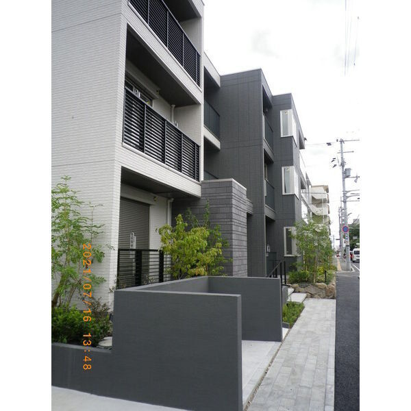 D-grace Wisteria AKASHI