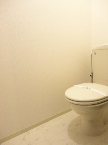 ルミエールⅠ【10,000円キャッシュバック対象物件】のトイレ|トイレも気になるポイント