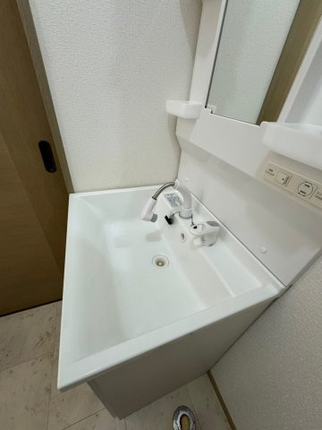 グリーンフルフェニックスの洗面所