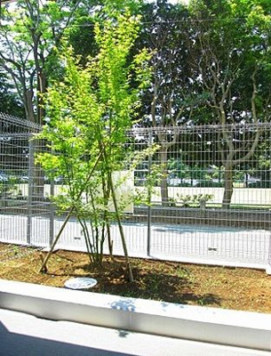 【展望】 | パノラマ南鴨宮 | ネット無料。窓からの眺望です。