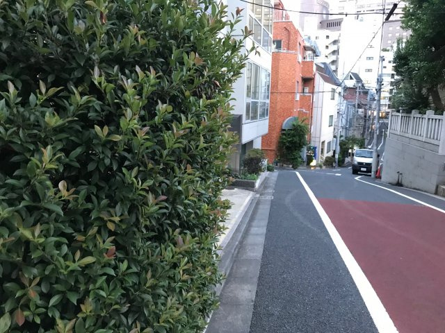 新和ビルの周辺