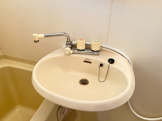 さかえコーポの洗面所