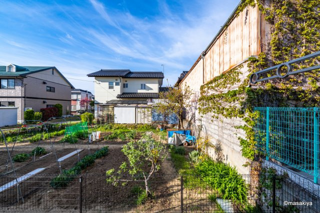 メゾン・ド・デイジーの展望