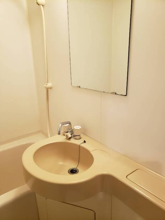 シャトー栄根Ⅱの洗面所|参考、同建物・同間取りの号室