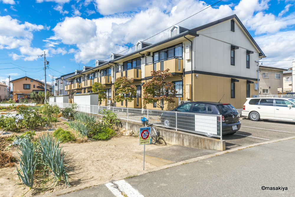 グレイス・ランド