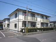 フレッシュグリーン２１　Ｂの画像
