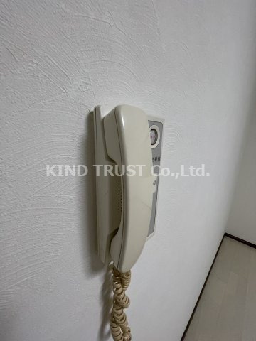 ビガーポリス296同心二丁目KSビルのセキュリティ