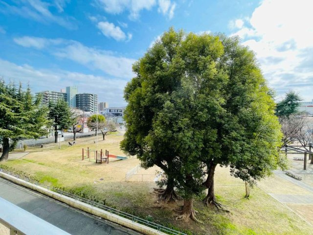 プロムナーデ関目23号棟の周辺|マンション前には大きな公園がございます。自然を感じられる立地です♪