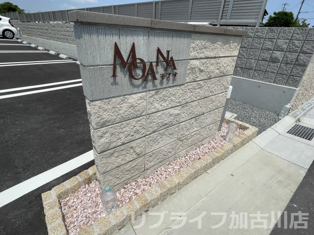 モアナのその他