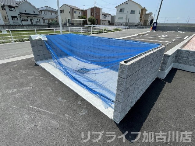 モアナのその他