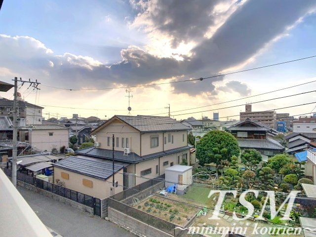 Ｐａｓｔｏｎ・Ｃｏｃｏの展望