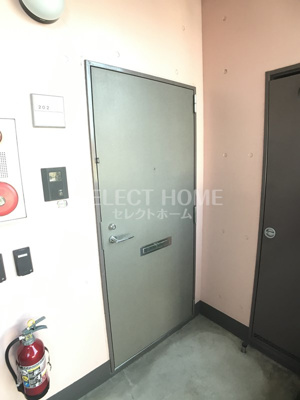  | ＰａｌｅｔｔｅＴ２