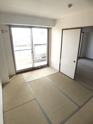  | ＰａｌｅｔｔｅＴ２