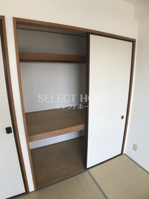  | ＰａｌｅｔｔｅＴ２