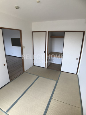  | ＰａｌｅｔｔｅＴ２