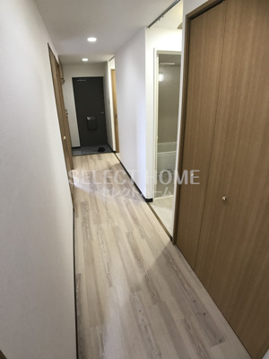  | ＰａｌｅｔｔｅＴ２