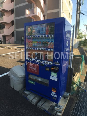  | ＰａｌｅｔｔｅＴ２