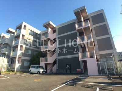  | ＰａｌｅｔｔｅＴ２