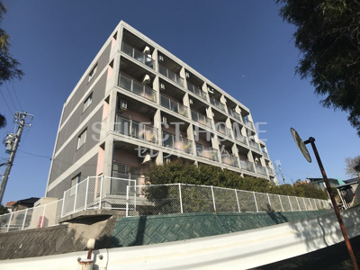  | ＰａｌｅｔｔｅＴ２