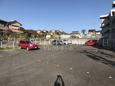  | ＰａｌｅｔｔｅＴ２