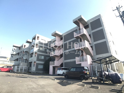  | ＰａｌｅｔｔｅＴ２