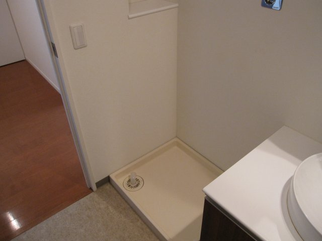 プライムメゾン南2条の洗面所