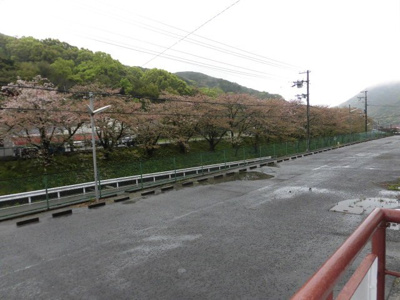 【駐車場】 | ヴィラナリー由良1