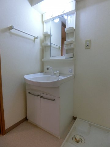 リバーコートCの洗面所