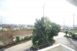【展望】