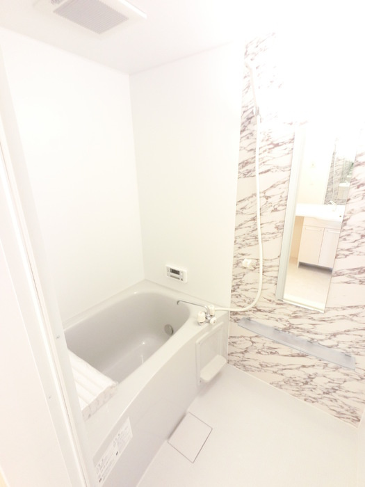 マロニエジャルダン Ａの浴室