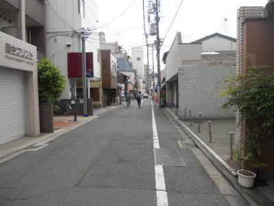 メゾンドールの周辺|前面道路