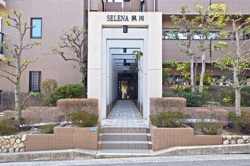 セレナ夙川