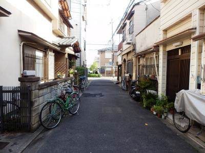 サンプランタンのその他|前面道路