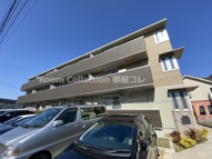 アリエッタの画像