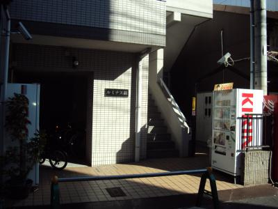 ルミナス錦のその他