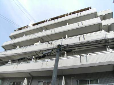 ルミナス錦の外観