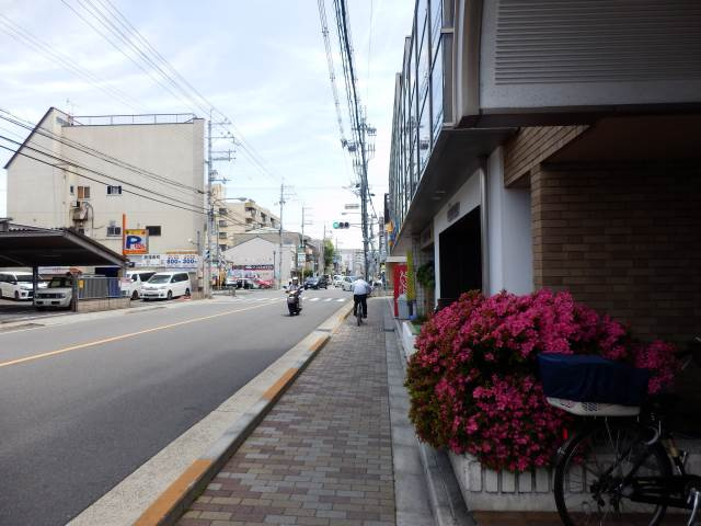 コスモ星の子ハイツの周辺|前面道路