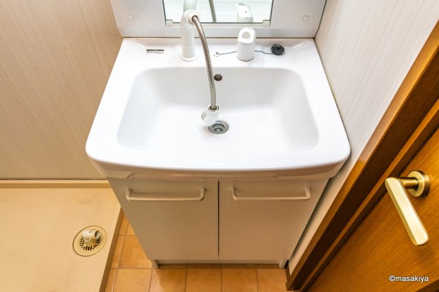 グランコスモ竹内の洗面所