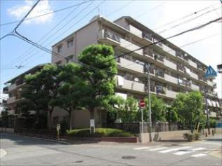 朝日プラザ緑橋の外観|最上階！南向き！陽当たり・通風・眺望　全て良好です♪
東中浜公園まで約75ｍ　徒歩1分！！小さなお子様がいるご家庭にも嬉しいポイントですね♪