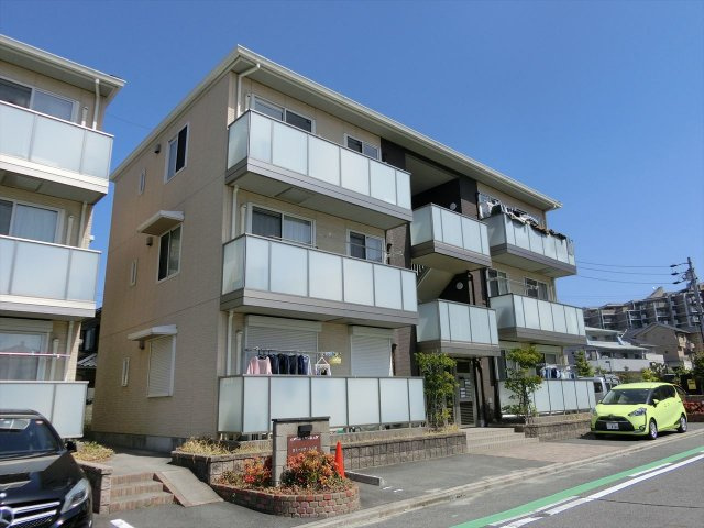 カミーリアシンポ