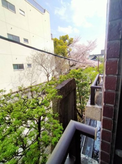 【展望】