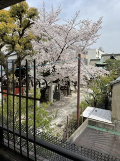 【展望】