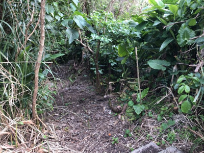  | 中城村久場（393.85坪）