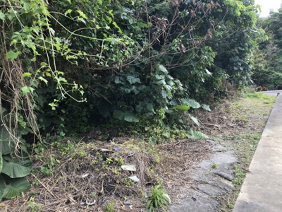  | 中城村久場（393.85坪）